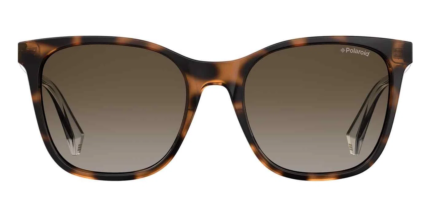 Polaroid Core Pld4059 Sunglasses - view 16